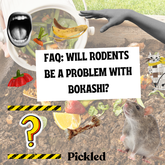 How to Keep Rats out of your Bokashi and Compost