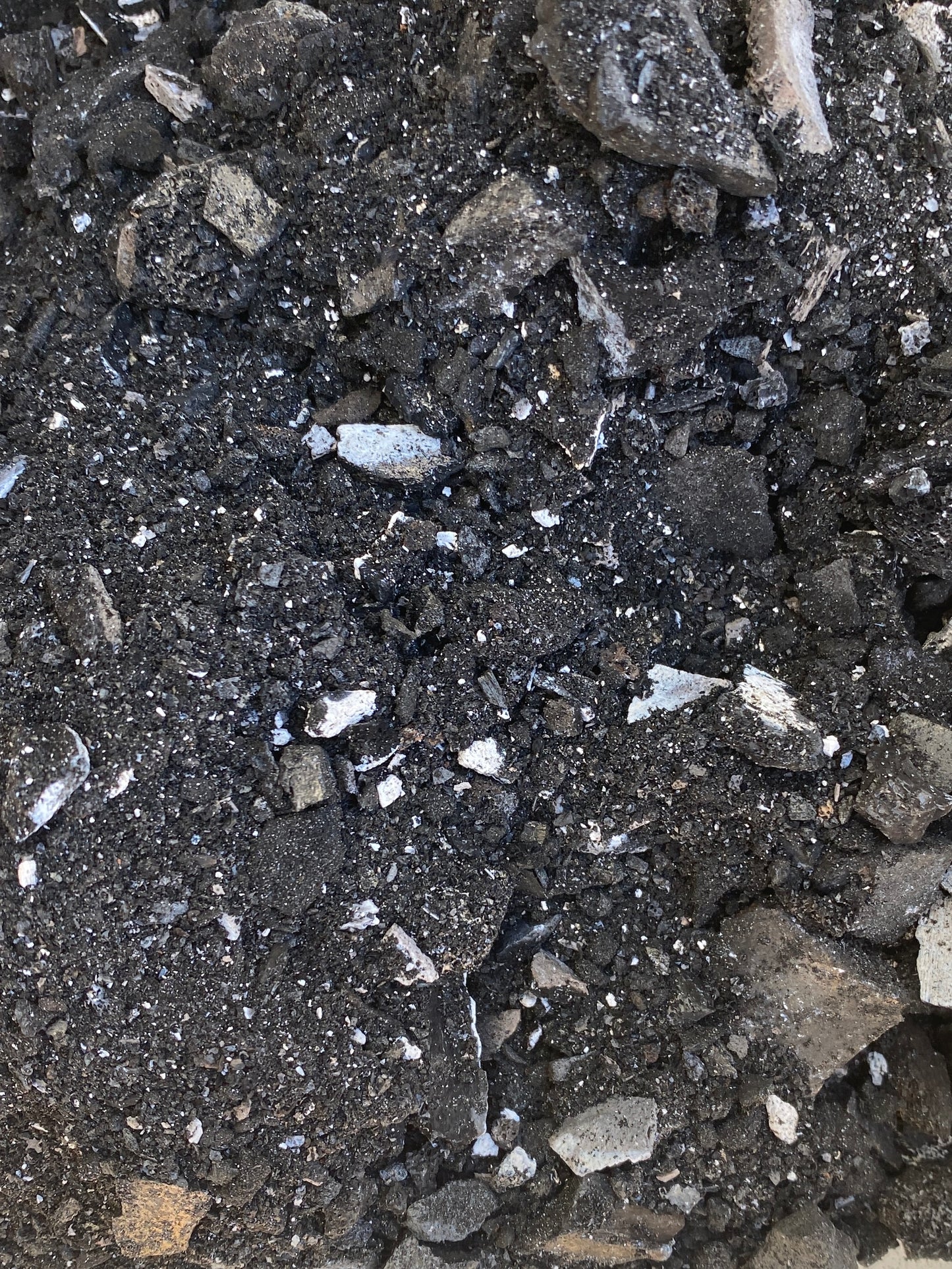 Bone char - NEW